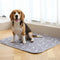 Punto Canino™ Tapete Guía Inteligente
