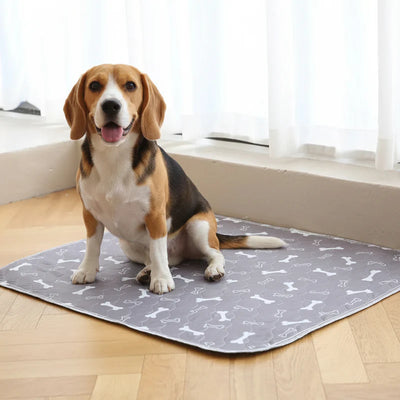 Punto Canino™ Tapete Guía Inteligente