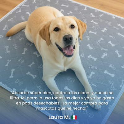 Punto Canino™ Tapete Atrayente Inteligente