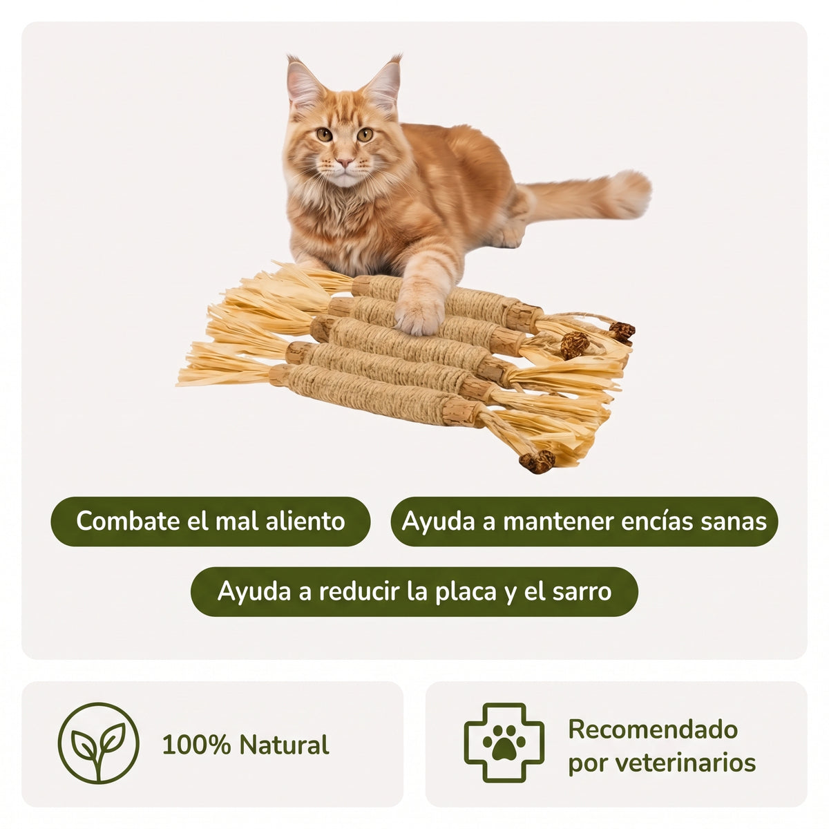 Palillos Dentales de Matatabi Puro