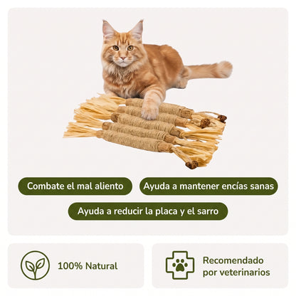 Palillos Dentales de Matatabi Puro