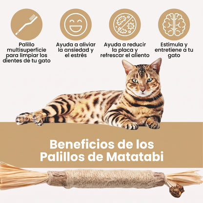 Palillos Dentales de Matatabi Puro