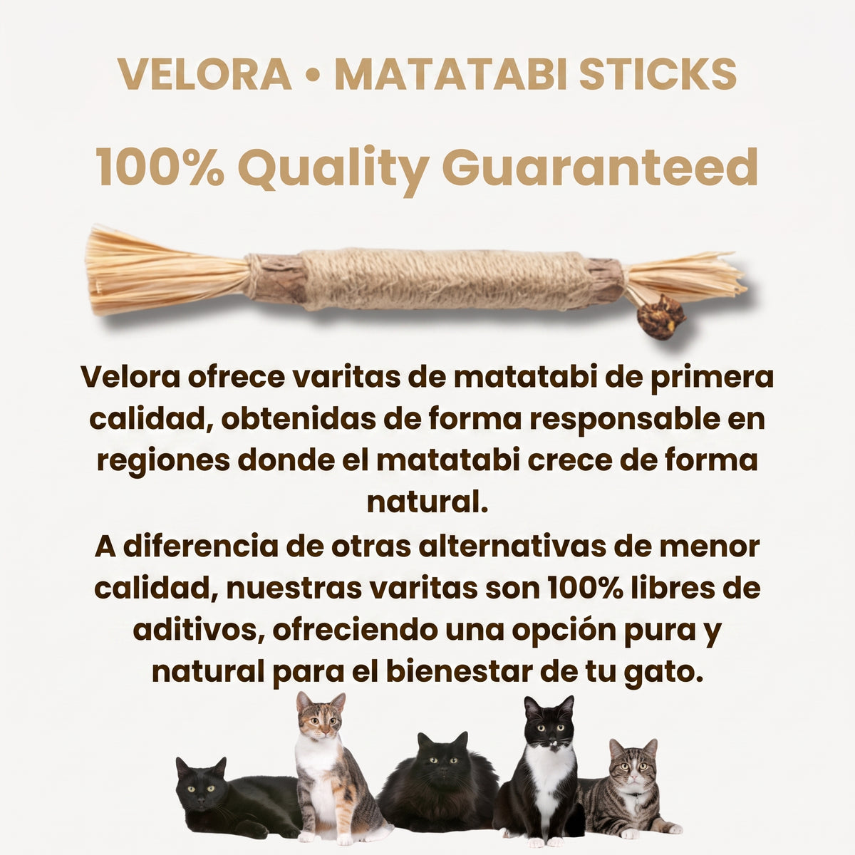 Palillos Dentales de Matatabi Puro