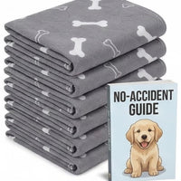 Punto Canino™ Tapete Guía Inteligente