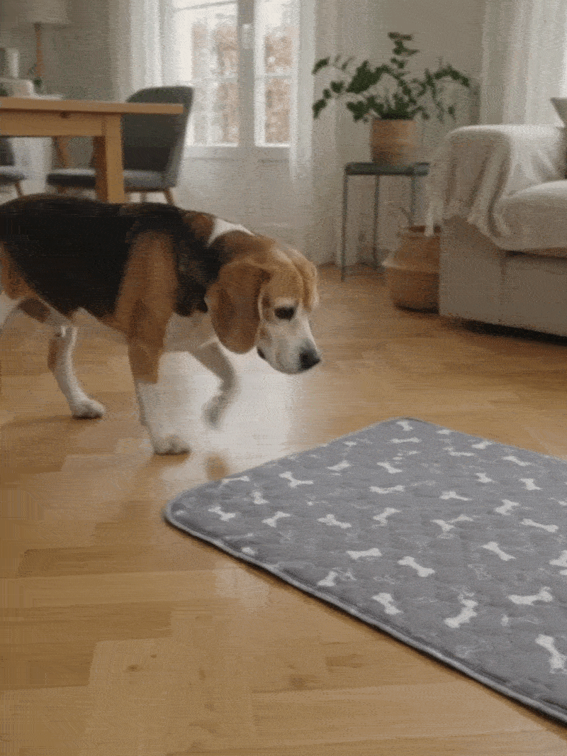 Image with text